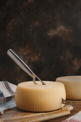 Fresh homemade cheese on a wooden board with a knife close up