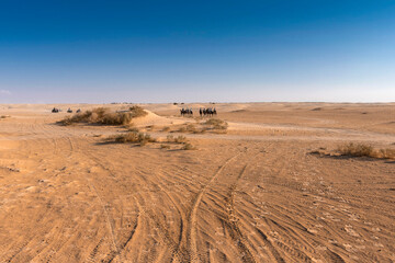 people on camels and quads move into the depths of the Sahara desert,