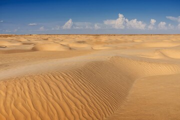 sand dunes of the sahara desert illuminated by the daylight of the sun,