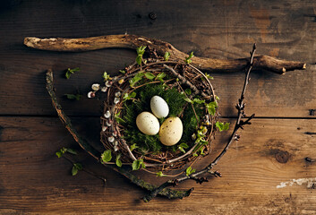 Easter nest with eggs made with tree branches and moss. Natural Easter decoration