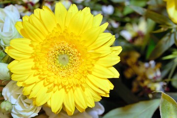 Mothers day flowers and a yellow gerbera flower - stock photo.jpg