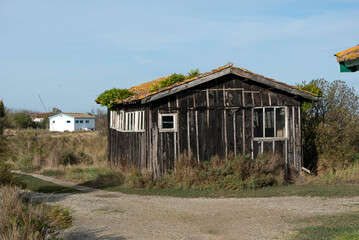 Fototapeta na wymiar Vieille cabane à Fort-Royer 2012