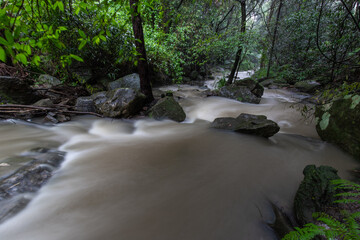 Gore Creek full of water after rain, Sydney, Australia.