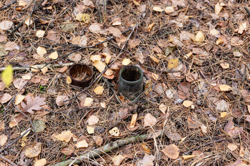 Old rusty tin can and glass jar on the ground in a pine forest. The concept of environmental pollution.