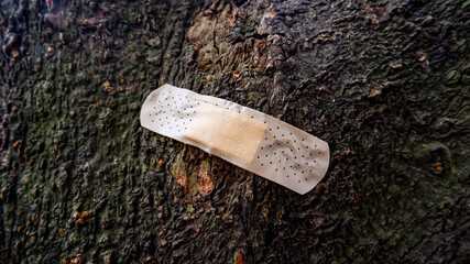 Band Aid on the bark of a tree - Band Aid Solution