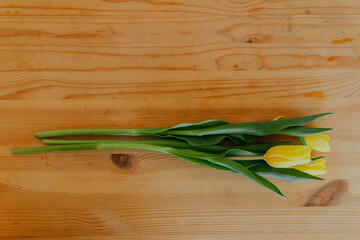 Bright fresh yellow tulips on wooden background. Bunch of three yellow tulips on table with space for text.