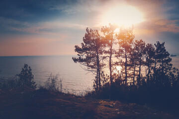 Fototapeta na wymiar Beautiful seascape, pine trees grow on rocky coast at sunset on the Black Sea coast