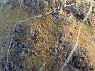 Rock Texture background pattern wallpaper