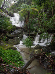 Tipperary Falls at Hunters Hill, NSW, Australia.