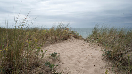 Chemin de sable dans les dunes
