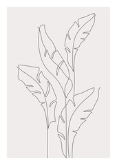 Abstract one line art of banana leaves. Tropical leaves composition isolated on white background. Continuous line drawing for trendy modern design. Vector foliage illustration in minimal style