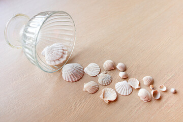 Lots of seashells are scattered on the table.