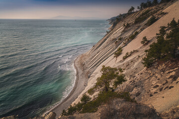 Fototapeta na wymiar Beautiful sea landscape, pine trees grow on the rocky coast of the Black Sea coast