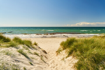 Fototapeta na wymiar Strand am Meer mit Zugang durch Dünen im Sommer