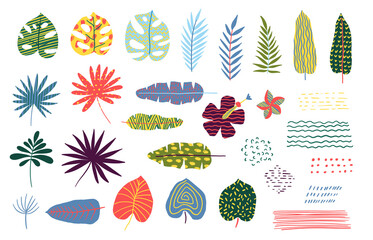Cartoon Color Abstract Tropical Leaves Icon Set. Vector