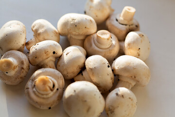 Champignon mushroom isolated on white background.
