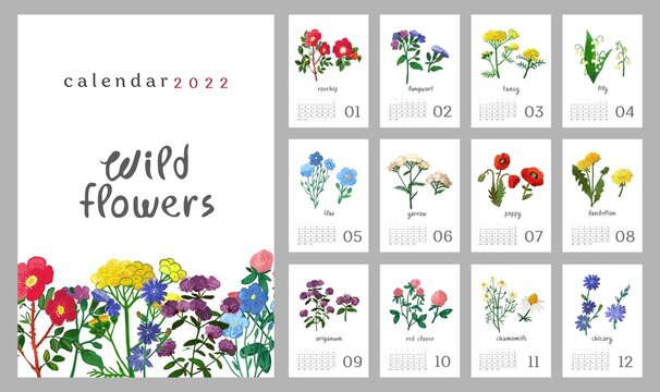 Floral wall vertical calendar for 2022, the week starts on Sunday. Template A4 format calendar set of month with wild flowers, meadow herbs, plants. Botanical posters. Cartoon vector illustration.