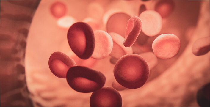 Blut: rote Blutplättchen in Arterie und Vene