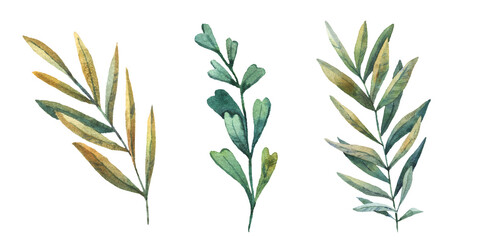 tropical leafs, branchs on white background, cute watercolor childrens illustration