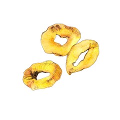 Close up of fried tempura squid ring isolated on white background.