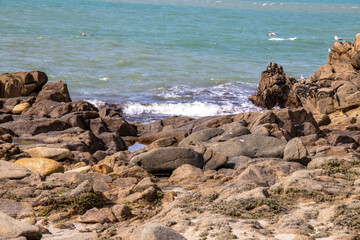Fototapeta na wymiar Plomeur. La côte rocheuse à la Pointe de la Torche. Finistère. Bretagne