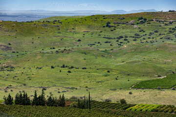March morning near the Kinneret in the village of Ramot