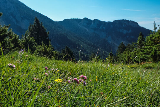 pedraforca valley in spring
