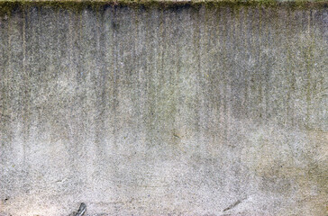 Aged concrete wall showing vertical streaks of dirt and lichen