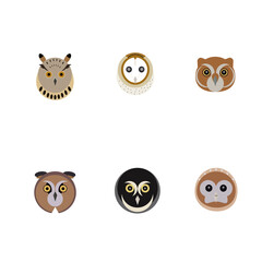 set of owls
