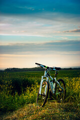 Fototapeta na wymiar Mountain bike stands in the rural green field at summer evening. Cycling adventure and summer leisure time.
