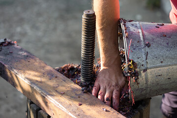 Winepress with red must and helical screw. Winemaker's hands close up.
