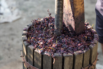 Winepress with red must and helical screw. Production of traditional Italian wines, crushing of...