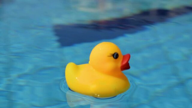 Yellow rubber duck. Funny kids inflatable toy float in blue water of summer pool. Funny bird toy for kids