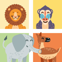 tropical animals cartoon