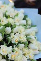 Flower bouquet of white tulip and narcissus. Flowers for valentine`s day or women`s day. Spring bouquet with blue wrap.