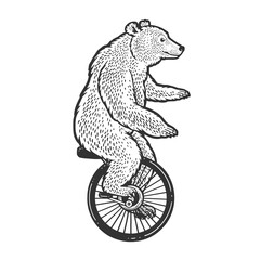 unicycle bear sketch raster illustration