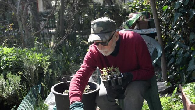 uomo anziano semina delle piante