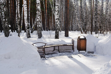 A lot of snow fell in the birch forest. The bench is buried in a snowdrift
