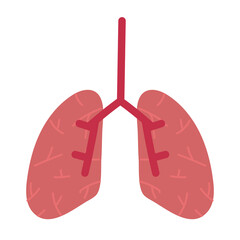 human lungs organ