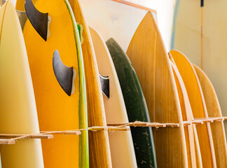 retro vintage surfboards lined up in a local surf shop
