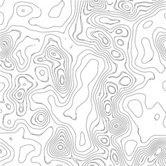 Grid map.Topographic map background. Abstract vector illustration.