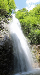 cascade of fresh water in the forest