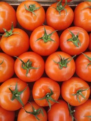 ripe red tomatoes with small green leaves