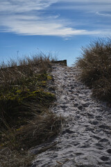 Sweden falsterbo beach