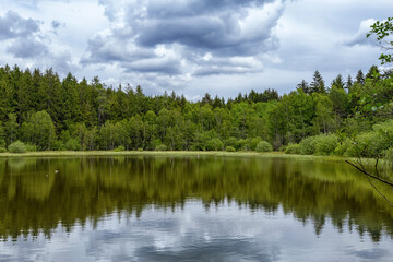 forest and dramatic storm clouds reflecting in a lake