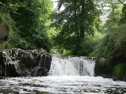 Traumpfad Wasserfall Nette