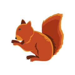 squirrel animal cartoon