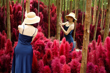 Fototapeta na wymiar Woman walk in Fantasy Flower Dream Field with beautiful color