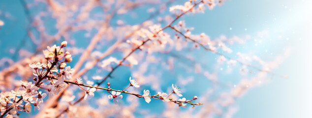 Spring background 