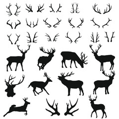 Deer Forest Wild Animals Silhouette Vector. Reindeer Stamp Illustration Antlers Collection.